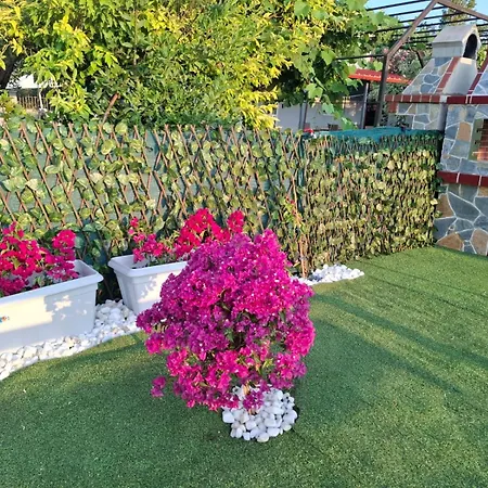 Casa vacanze Aurora *